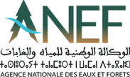 الوكالة الوطنية للمياه والغابات
